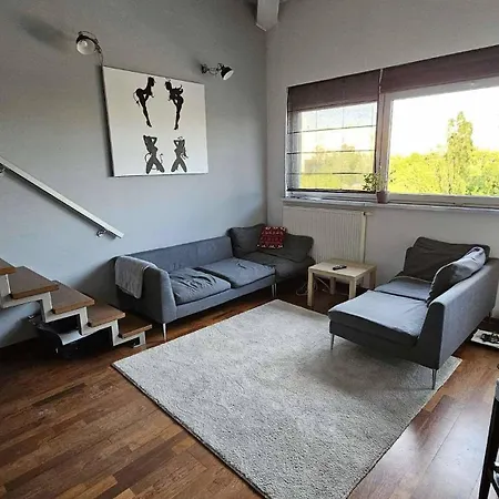 Apartment Abra Ix *